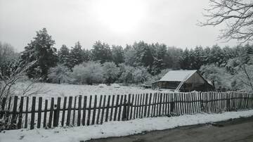 Фото номера Дом с 2 спальнями Дома для отпуска Дом отдыха Лесной уголок г. Bobinka 17