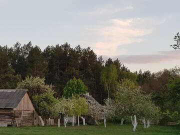 Фото номера Дом с 2 спальнями Дома для отпуска Дом отдыха Лесной уголок г. Bobinka 33